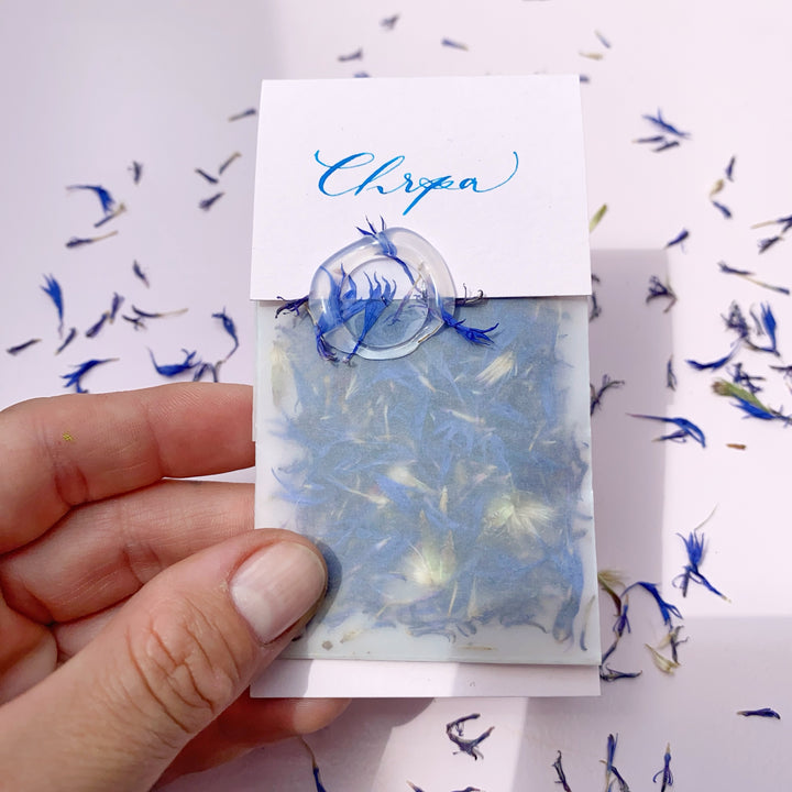 Sušené květinky - Chrpa Ely