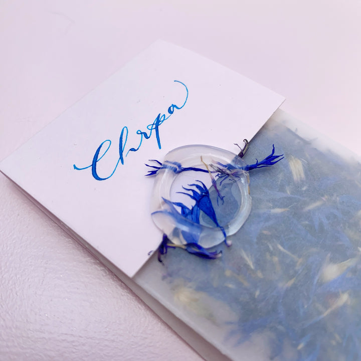 Sušené květinky - Chrpa Ely