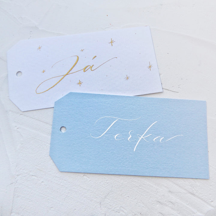 Sada kartiček na vlastní jmenovky – Zamrzlá krajina Ely