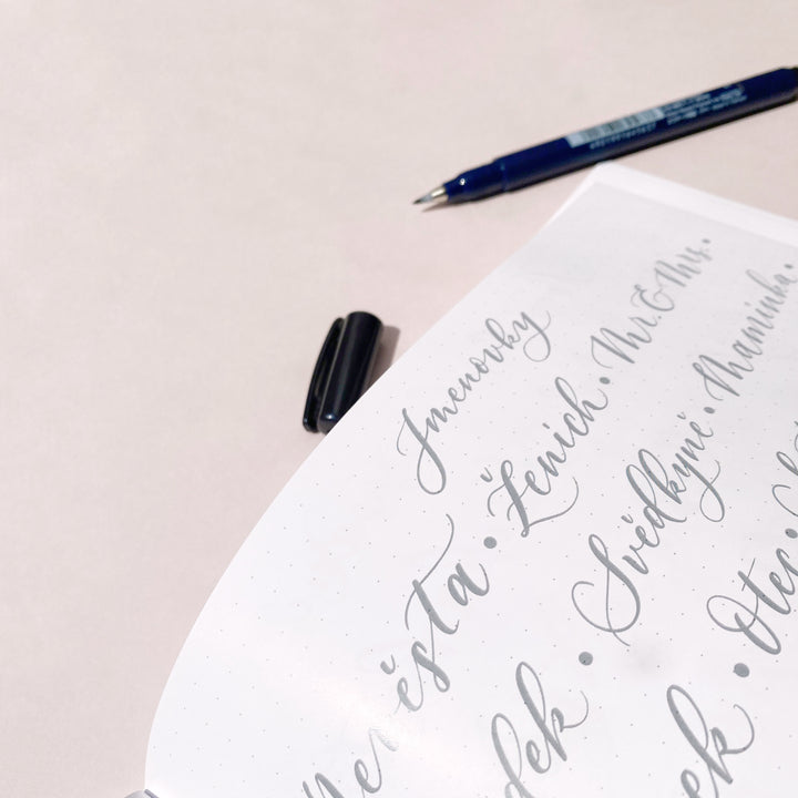 Tombow – Fudenosuke | malý brush pen, tvrdost 2 (soft)) Tombow