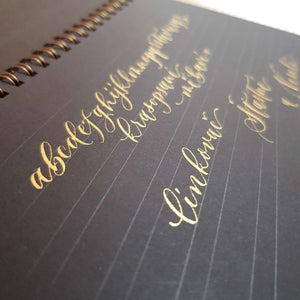 Linkovač Krasolinka Krasopiska