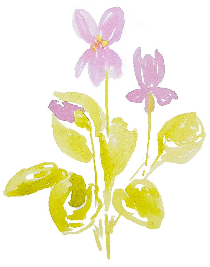 Krasoinkoust – Fialka, fialový, 30 ml | na kaligrafii i akvarel Krasopiska