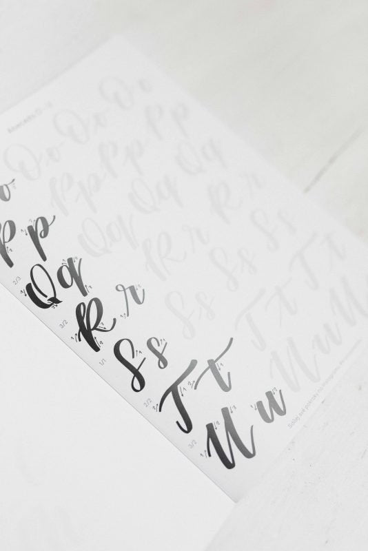 Krasopísanka - Pro začátečníky | včetně brush penu Tombow Krasopiska