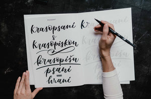 Krasopísanka - Pro začátečníky | včetně brush penu Tombow Krasopiska