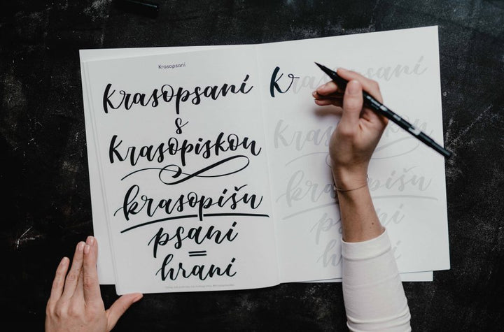 ONLINE Kurz Krasopsaní brushpenem – na míru, pro dva a více Krasopiska